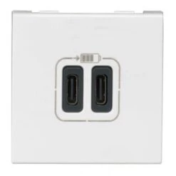 Legrand Chargeur 2 USB Type-C 3A 15W Mosaic 2 Modules 230V Ou 5V= - Blanc