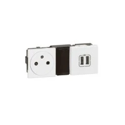 Legrand Prise De Courant 2P+T Surface + Chargeur 2 USB Type-A 2,4A 12W Mosaic 2x2 Modules 230V Ou 5V= - Blanc