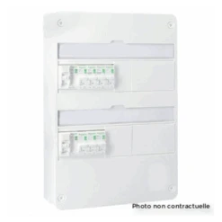 Schneider® Tableau Resi9 Monté 2 Rangées 9 Disjoncteurs