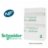Schneider® Tableau Resi9 Embrochable Monté 2 Rangées 9 Disjoncteurs