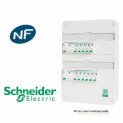 Schneider® Tableau Resi9 Embrochable Monté 2 Rangées 9 Disjoncteurs