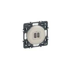 Legrand Prise Double Chargeur USB à Griffes Céliane Titane