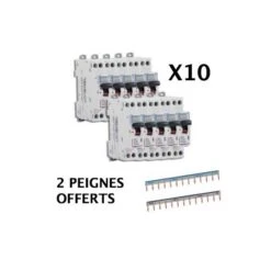 Legrand Lot 10 Disjoncteurs 10A Vis + 2 Peignes Offerts