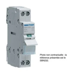 Interrupteur Sectionneur Avec Lampe Témoin 16A